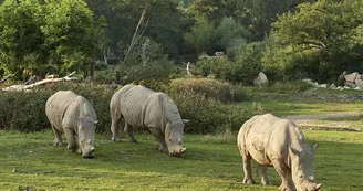 Le PAL - Parc d'attractions et animalier