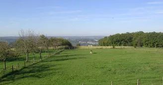 Gîte de groupe La Ferme des Réaux