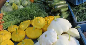 Marché de Cosne-d'Allier