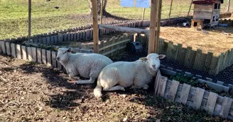 Ferme pédagogique La Ferme des Aventuriers 03