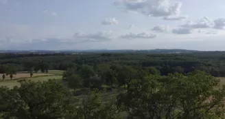 Forêt domaniale de Château-Charles