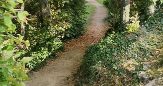 Parcours de l'arbre