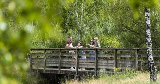 balade-pont-etang-bruyeres-fuilet-mse-osez-mauges-©SébastienGaudard (2)