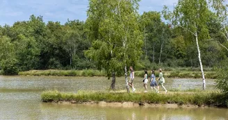 etang-bruyeres-fuilet-mse-osez-mauges-©SébastienGaudard (43)