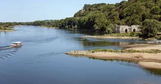 balade-bateau-loire-famille-champtoceaux