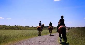 balade-cheval-vignes-en-selle-sm-st-crespin-moine-osezmauges-anjou