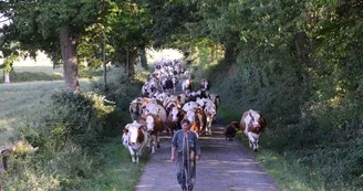 ferme-de-la-fouardière-sainte-gemmes-d'andigné-49-deg-photo1