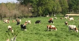 ferme-de-la-fouardière-sainte-gemmes-d'andigné-49-deg-photo2