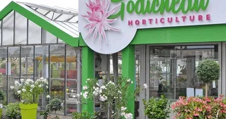 godicheau-horticulture-le-lion-d'angers-49-deg-photo1