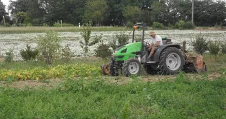 champ-ferme-corbiere-roussay-nantes-cholet-anjou