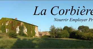 panier-legume-ferme-corbiere-roussay-local-cholet-anjou-osezmauges