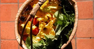 panier-legumes-ferme-corbiere-roussay-nantes-cholet-anjou