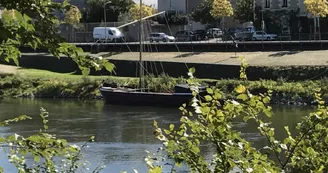 Vue sur Loire Chalonnes