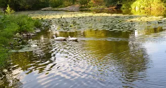 gite-moulin-neuf-beaupreau-angers-nantes-anjou-osezmauges