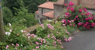 gite-moulin-neuf-beaupreau-angers-nantes-anjou-osezmauges