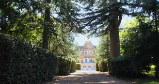 allee-du-chateau-de-la-guimoniere