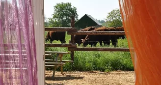 gîte-le-tom-house-thomas-ranch-contigné-hlo-photo4