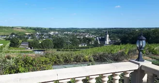 vue prise de la terrasse