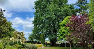 Gite La Fauvelière extérieurs -Morannes