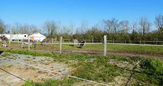 yourte-amelâne-ferme-asinerie-chemillé-la-jumellière