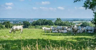 camping-ferme-la-pommeraye-angers-nantes-anjou-osezmauges