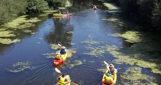 camping-la-rivière-nyoiseau-49-hpa (4)