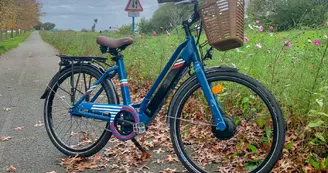 Vélo Electrique Premium_5