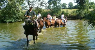 centre-equestre-La-Gosniere