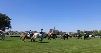 Palio-Le Lion d'Angers