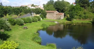 aire-pique-nique-nature-anjou-st-sauveur-de-landemont (1)