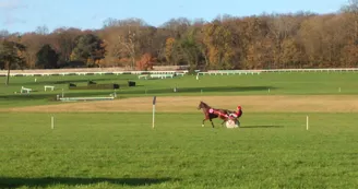 hippodrome-la-lorie-la-chapelle-sur-oudon-49-loi