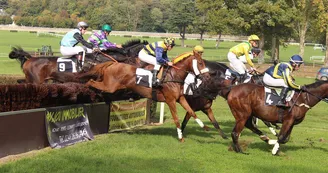 obstacle-hippodrome-la-lorie-49-LOI