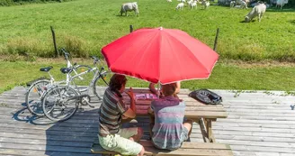 camping-ferme-guyonnière-pommeraye-location-velo-loire-anjou