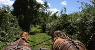 équipromenade-saint-martin-du-bois-49-loi-photo4