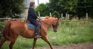 centre equestre brion_2