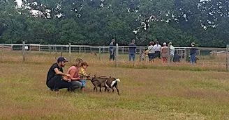 Une visite en famille pour créer un lien avec les animaux.