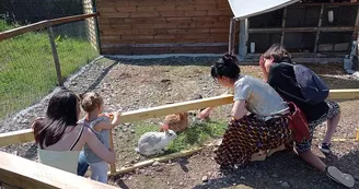 Rencontre avec les lapins