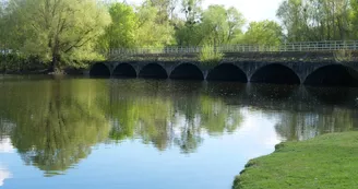 Etang de la Grande Vallée à Denée