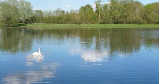 Etang de la Grande Vallée à Denée