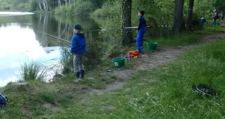 Pêche au coup à Joreau