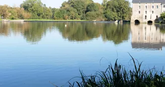 La Mayenne à Grez-Neuville