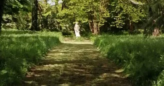 dans le parc du chateau de La Montchevalleraie, en Haut-Anjou