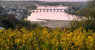 Panorama sur Saumur et la Loire