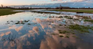 loire-sauvage-montjean