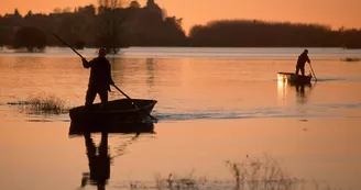 montjean-loire-angers-nantes-peche