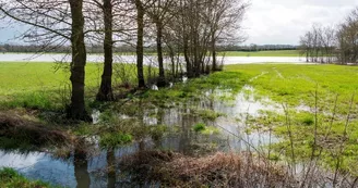 montjean-loire-nature-sauvage