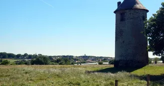 randonnee-vignes-moulins-mesnil-en-vallee (2)