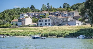 patache-loire-bateau-luce-oa-champtoceaux-osezmauges-anjou-©D.Drouet-1978