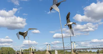 loire-velo-sculpture-sternes-batardiere-┬®D.Drouet.jpg (1)