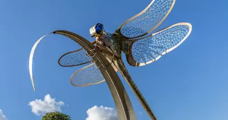 loire-velo-sculpture-libellule-batardiere-┬®D.Drouet (20)